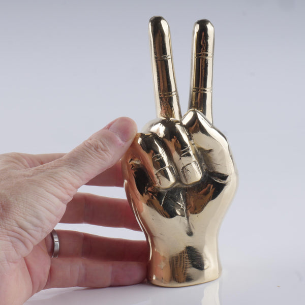 a person holding a gold colored metal object in their hand