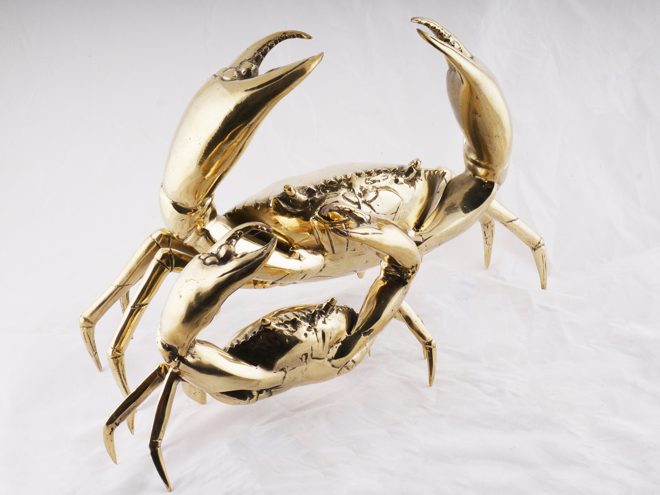 Mr Pinchy Crab