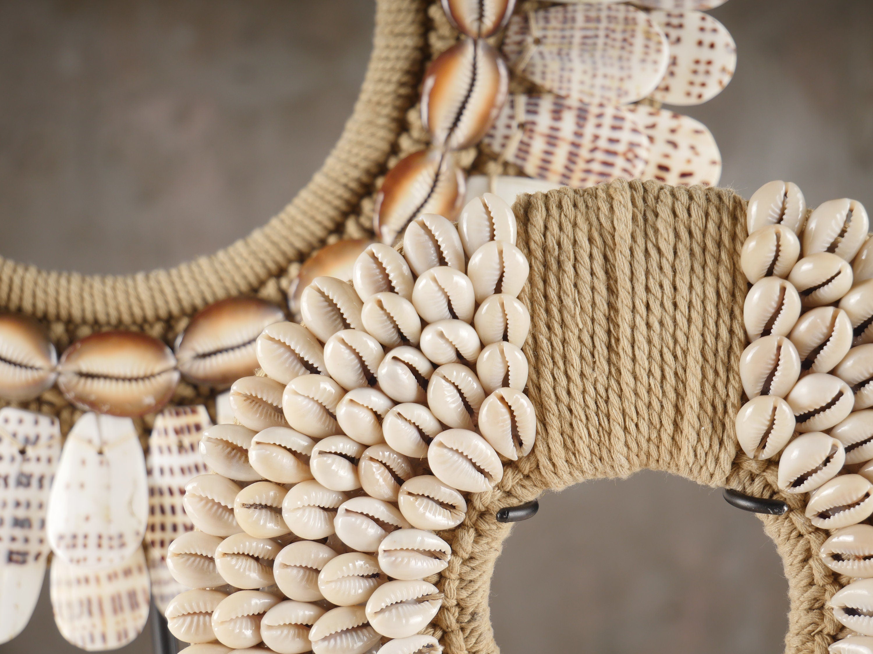 The Leopard Conus Papua Necklace