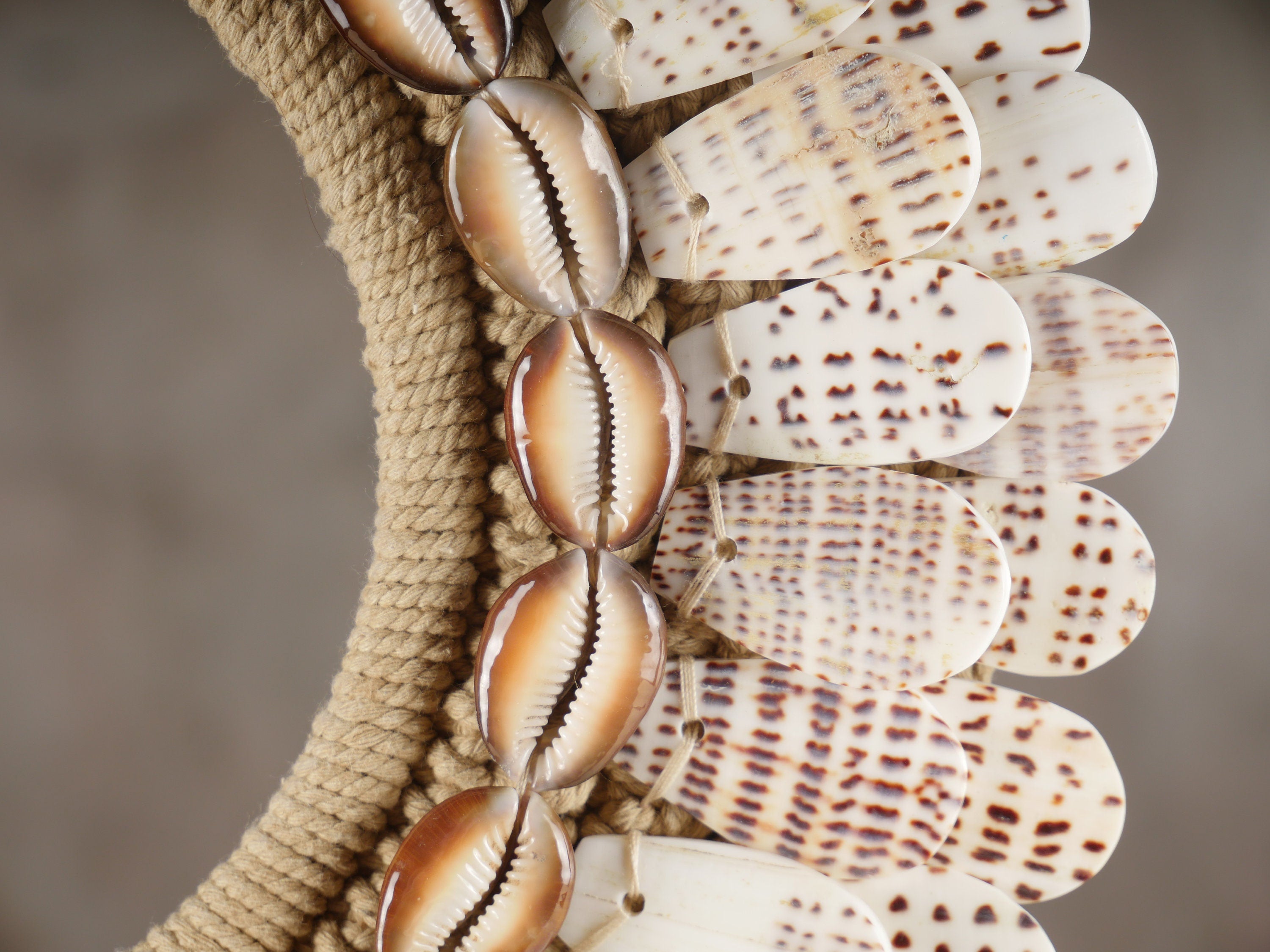 The Leopard Conus Papua Necklace