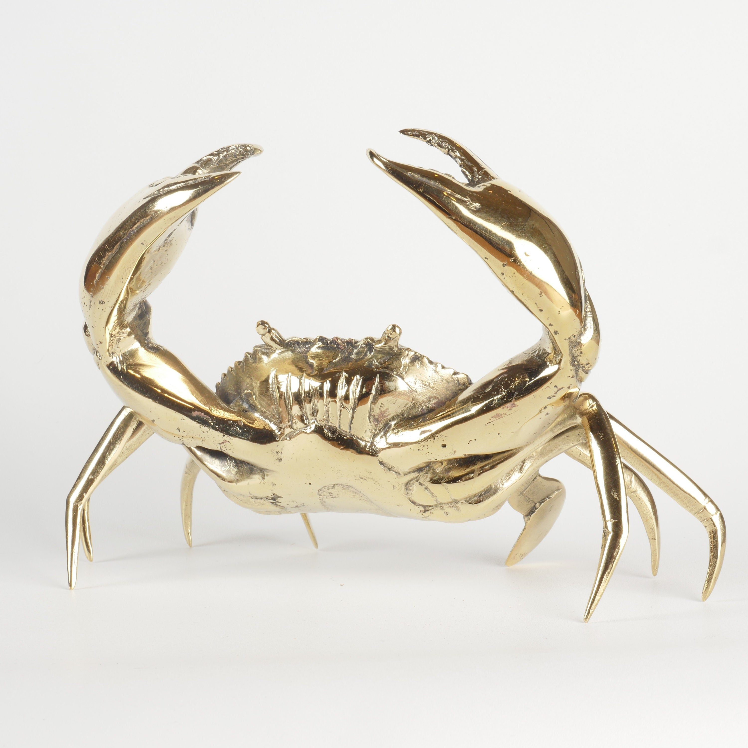 Mr Pinchy Crab