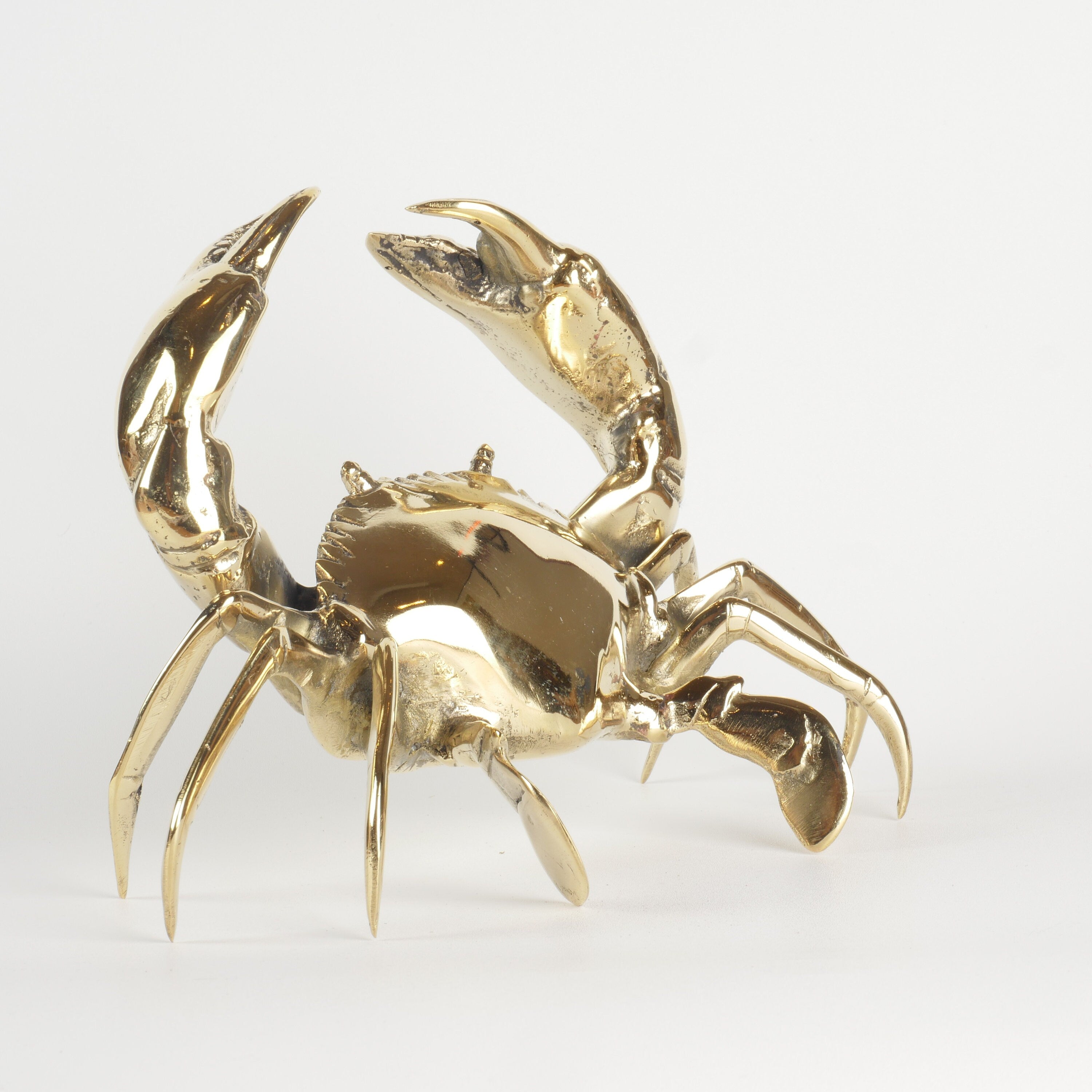 Mr Pinchy Crab