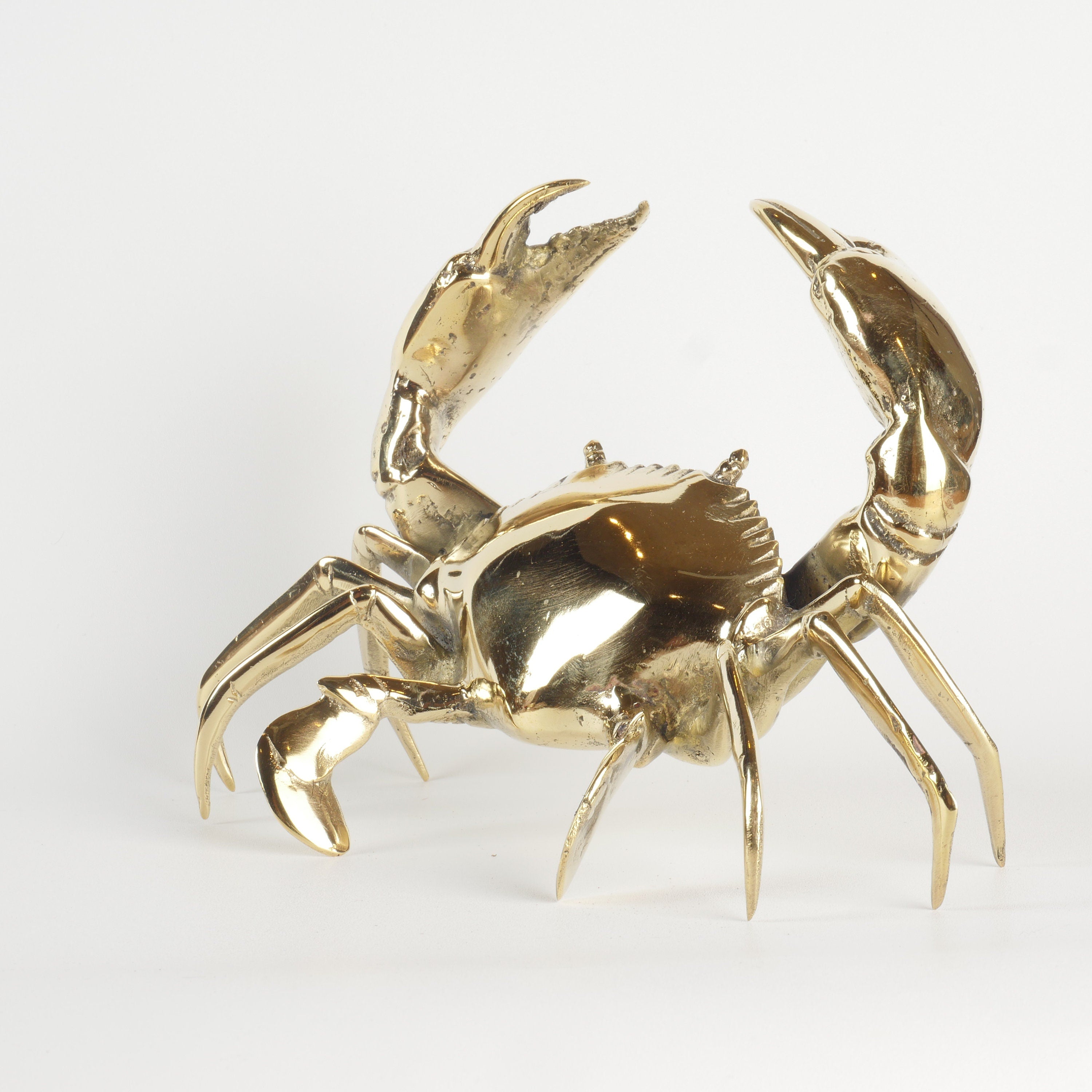 Mr Pinchy Crab