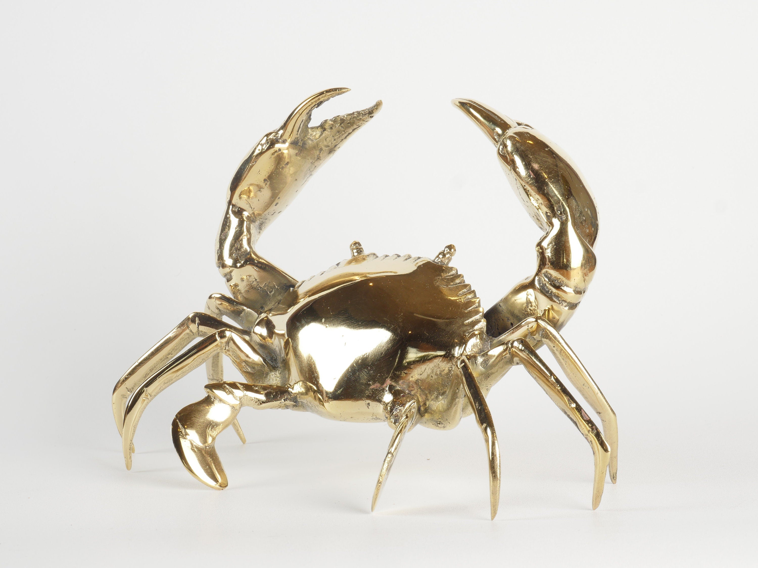 Mr Pinchy Crab