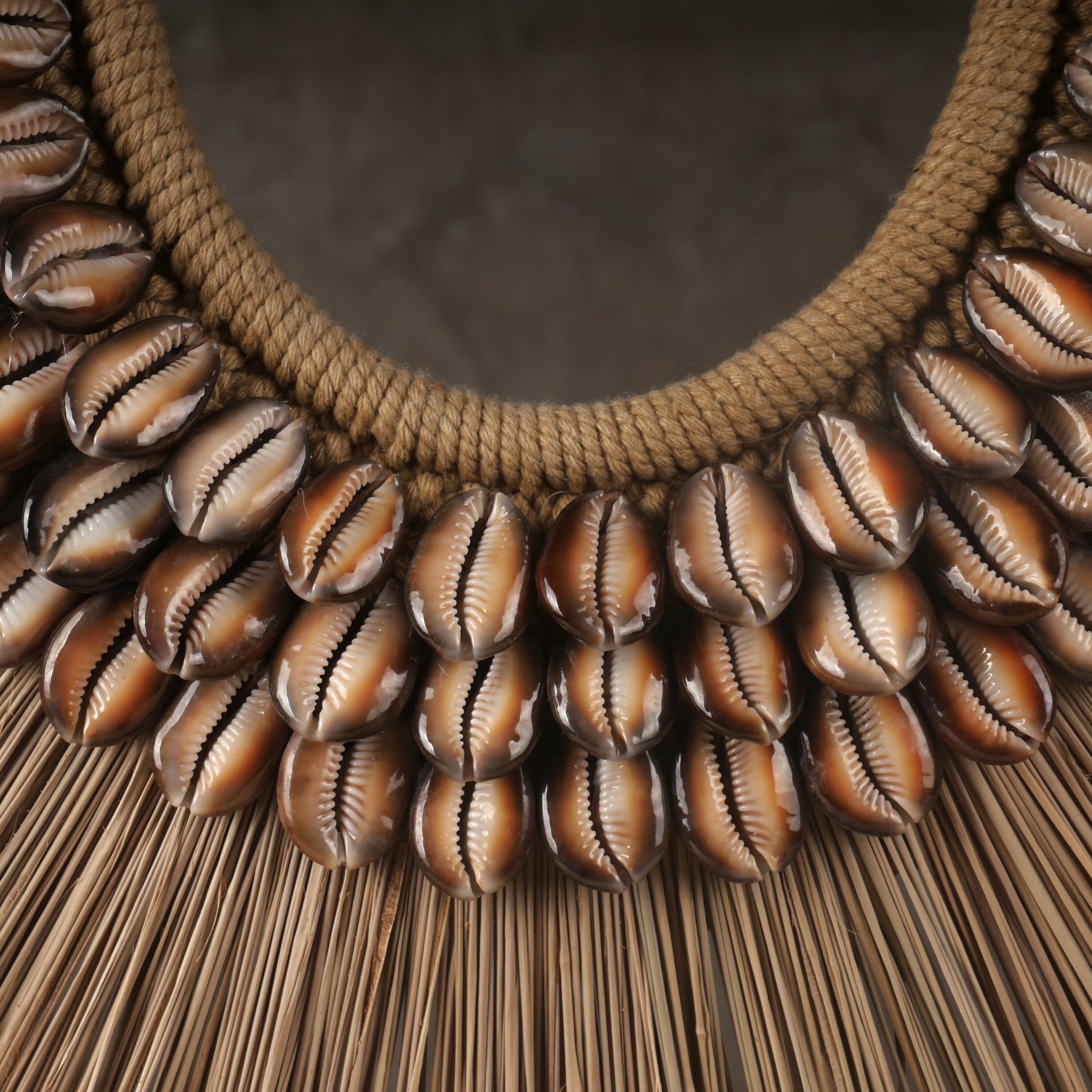 The Snake Head Cowrie Necklace