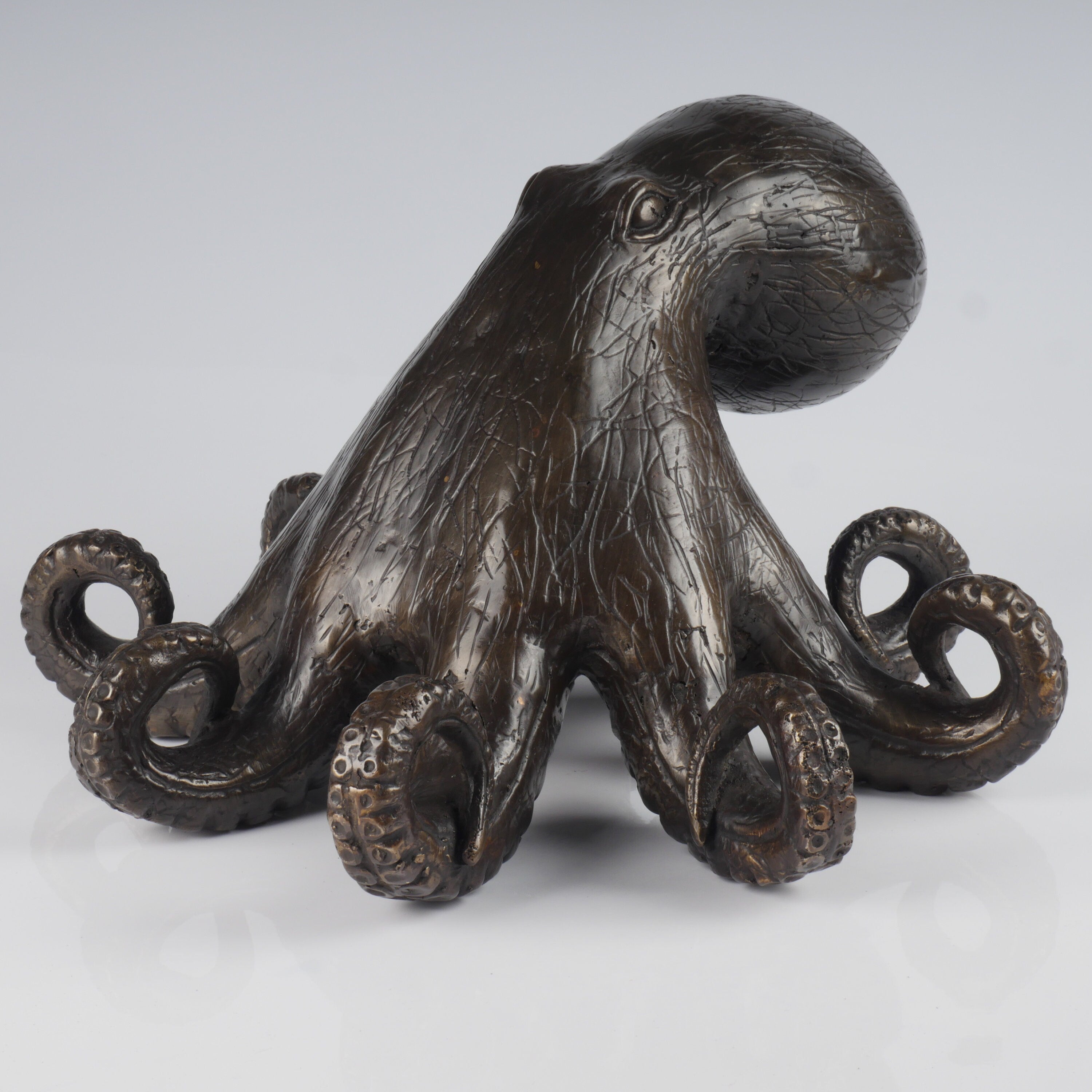 The Bronze Octopus