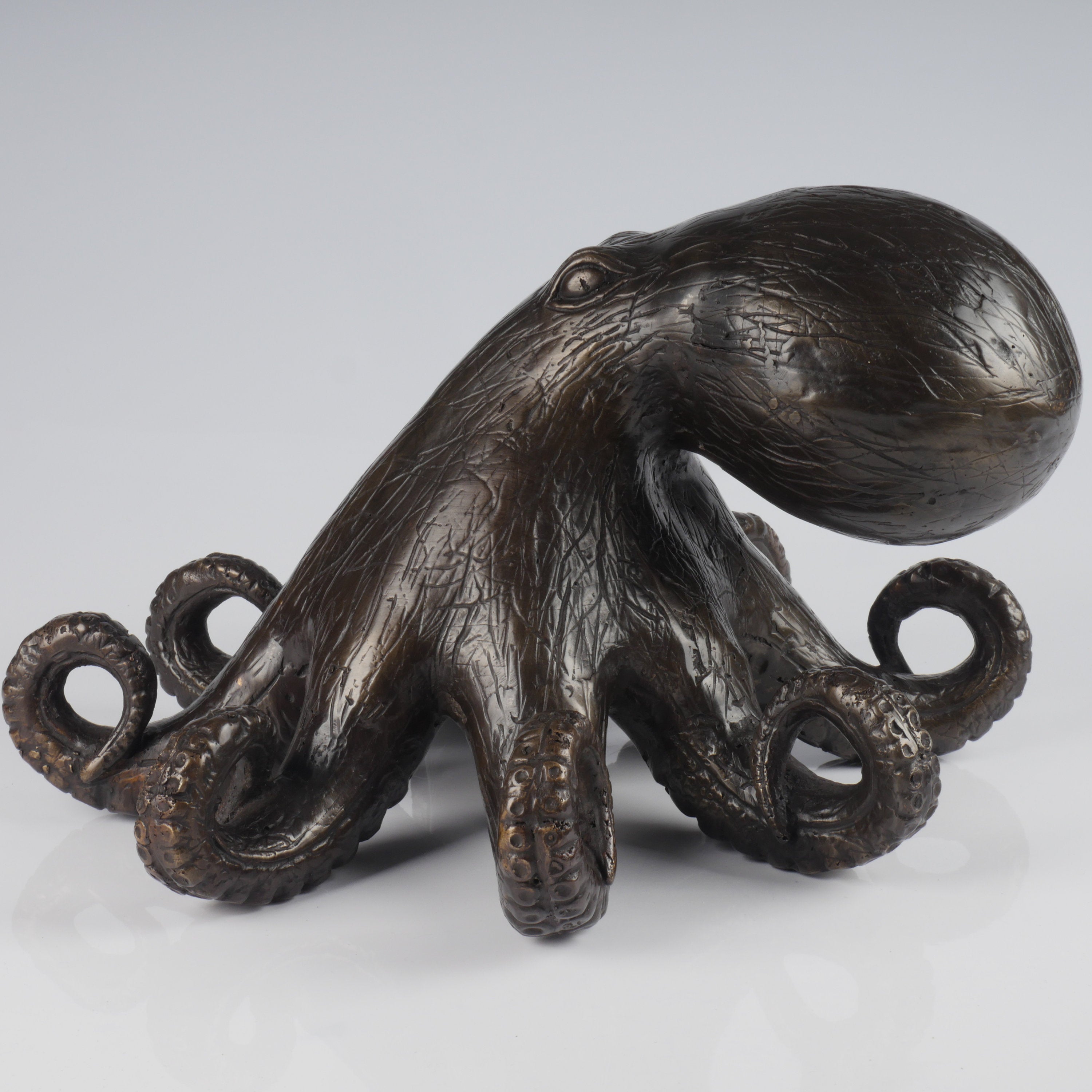 The Bronze Octopus