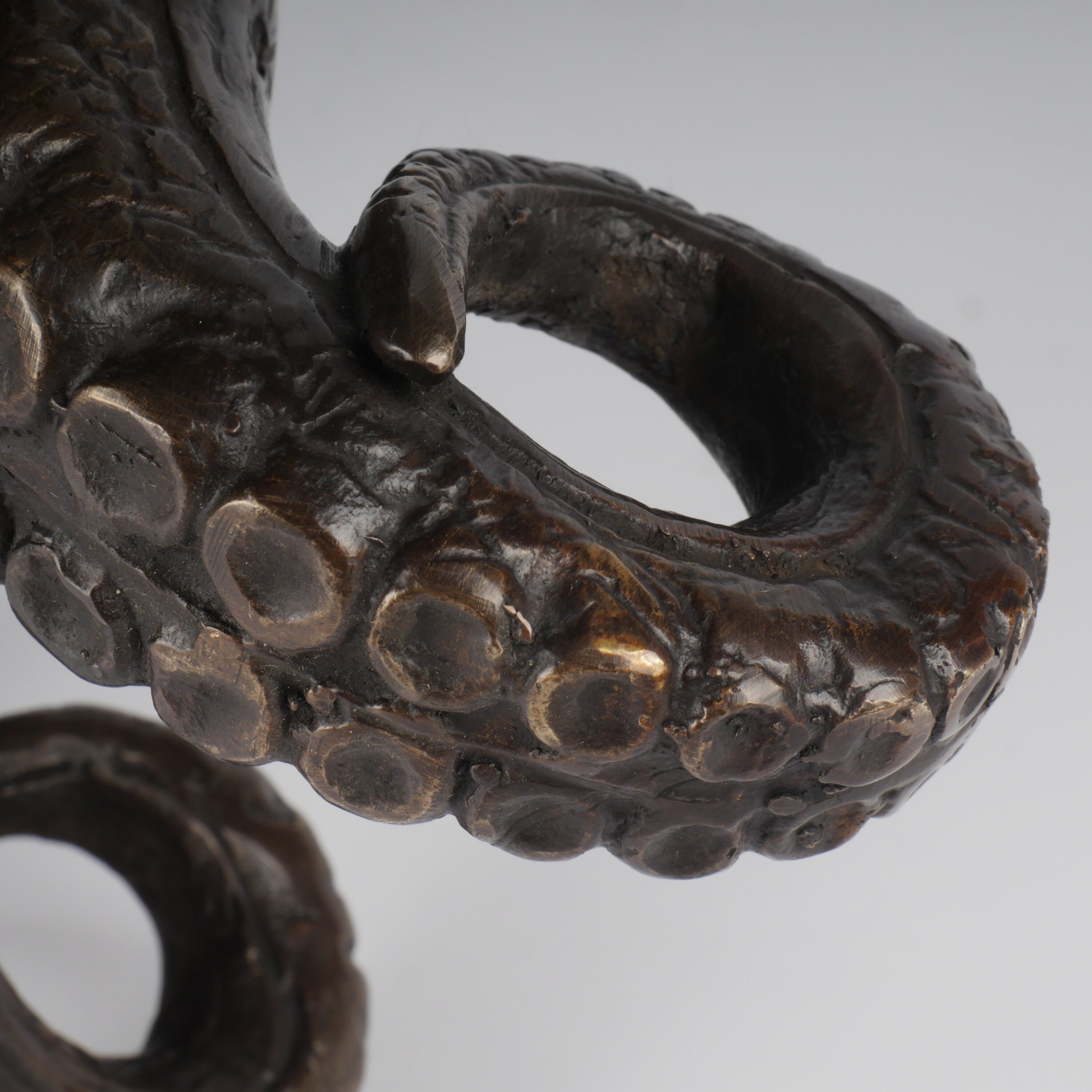 The Bronze Octopus