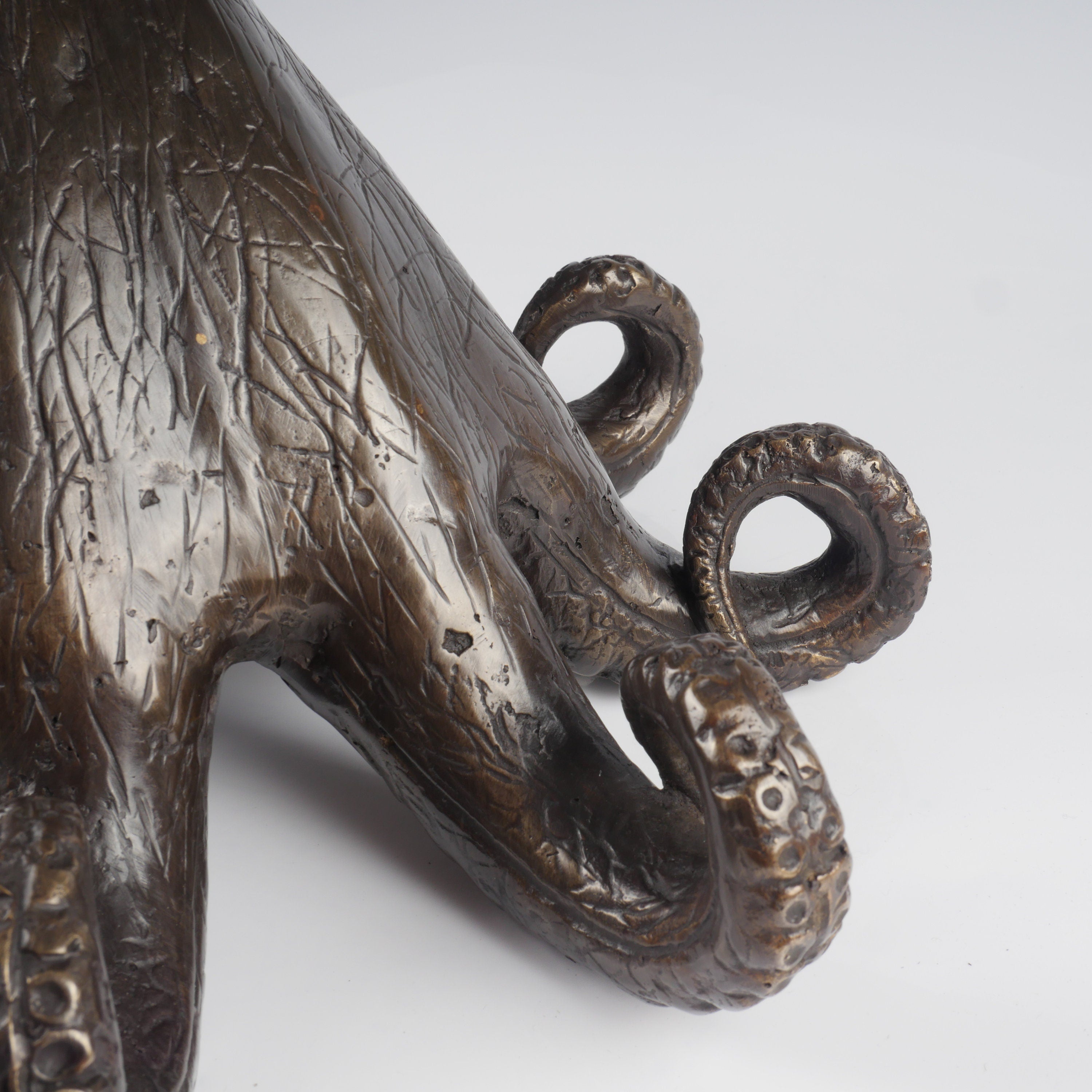 The Bronze Octopus