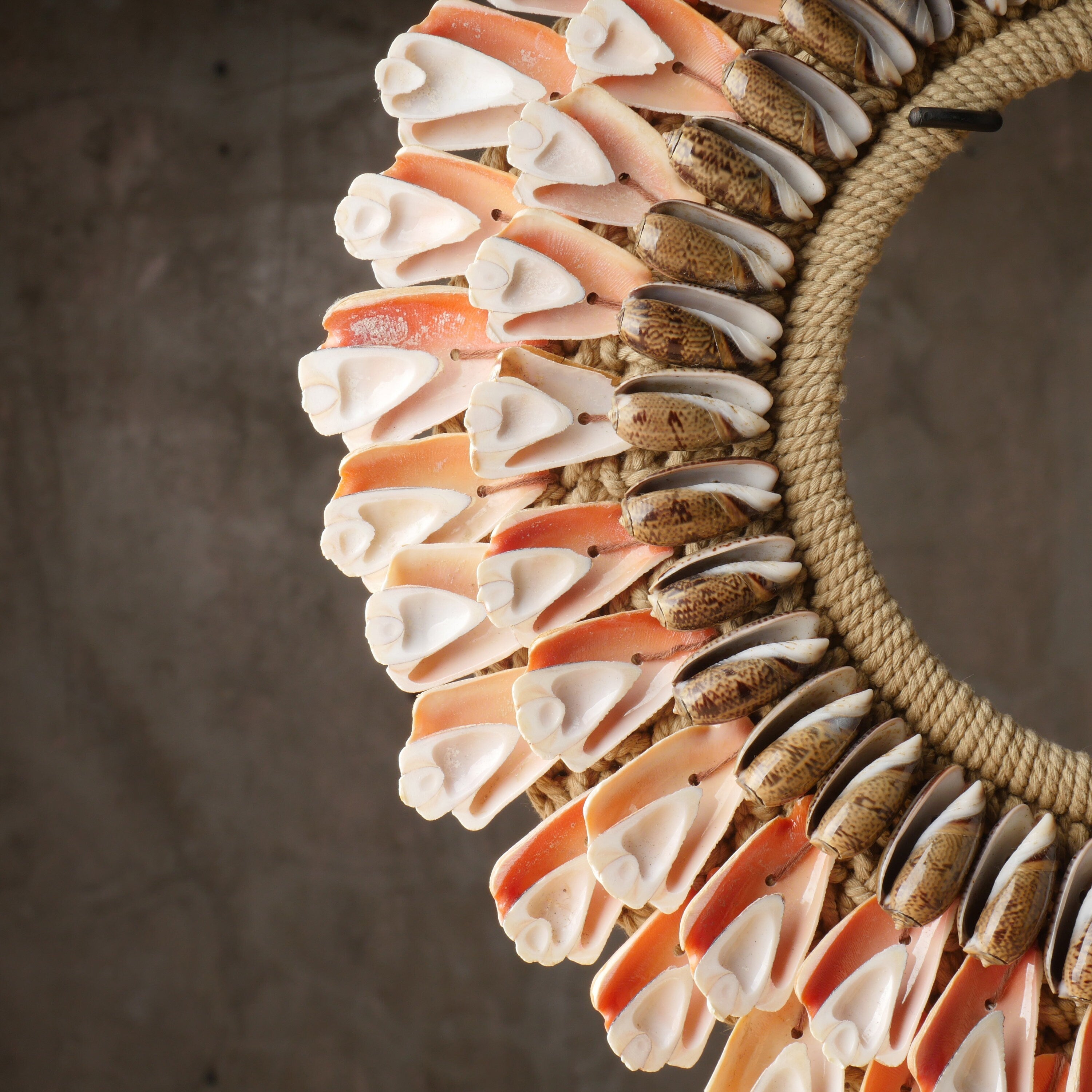 The Tiger Conch Necklace