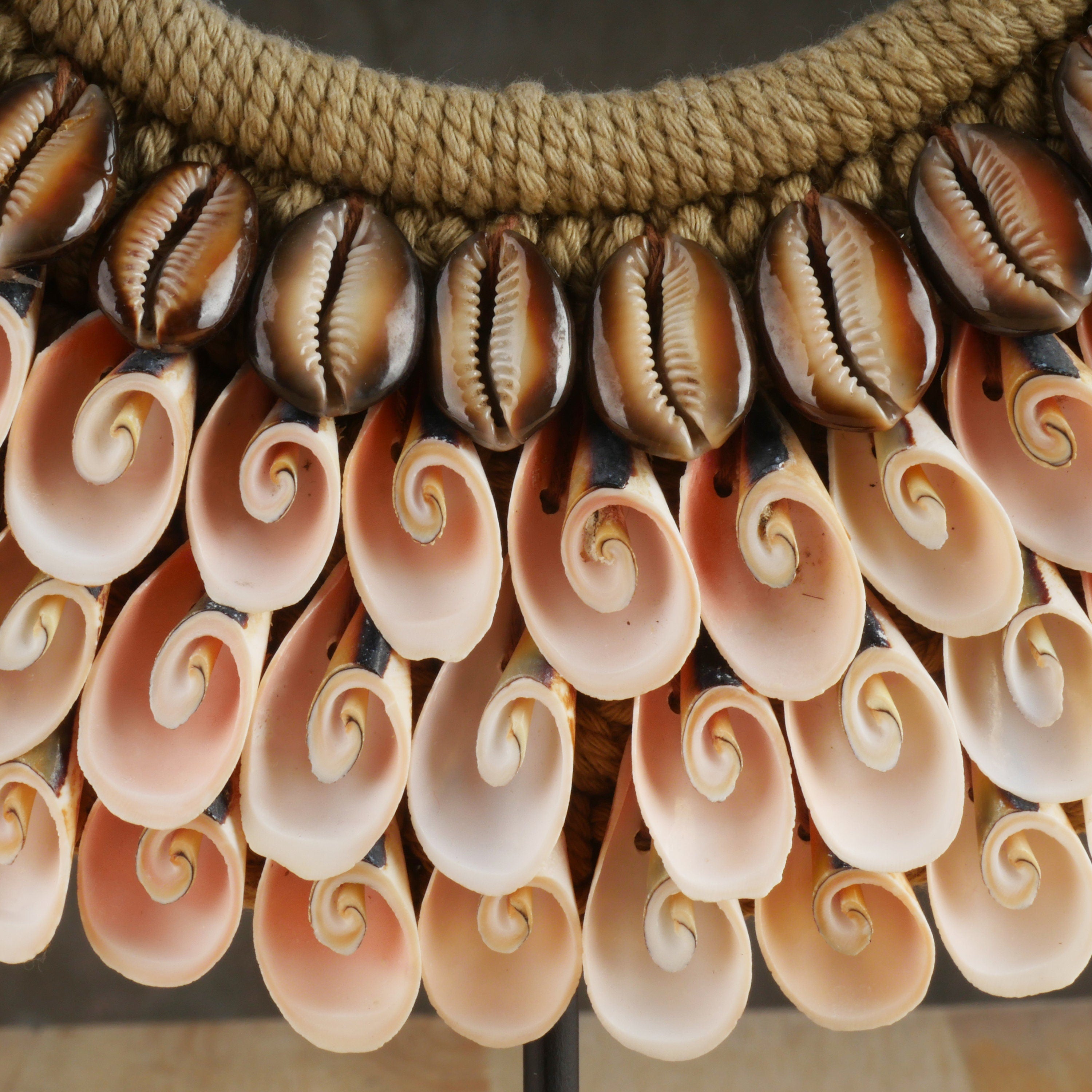 The Pink Conch and Snake Head Necklace