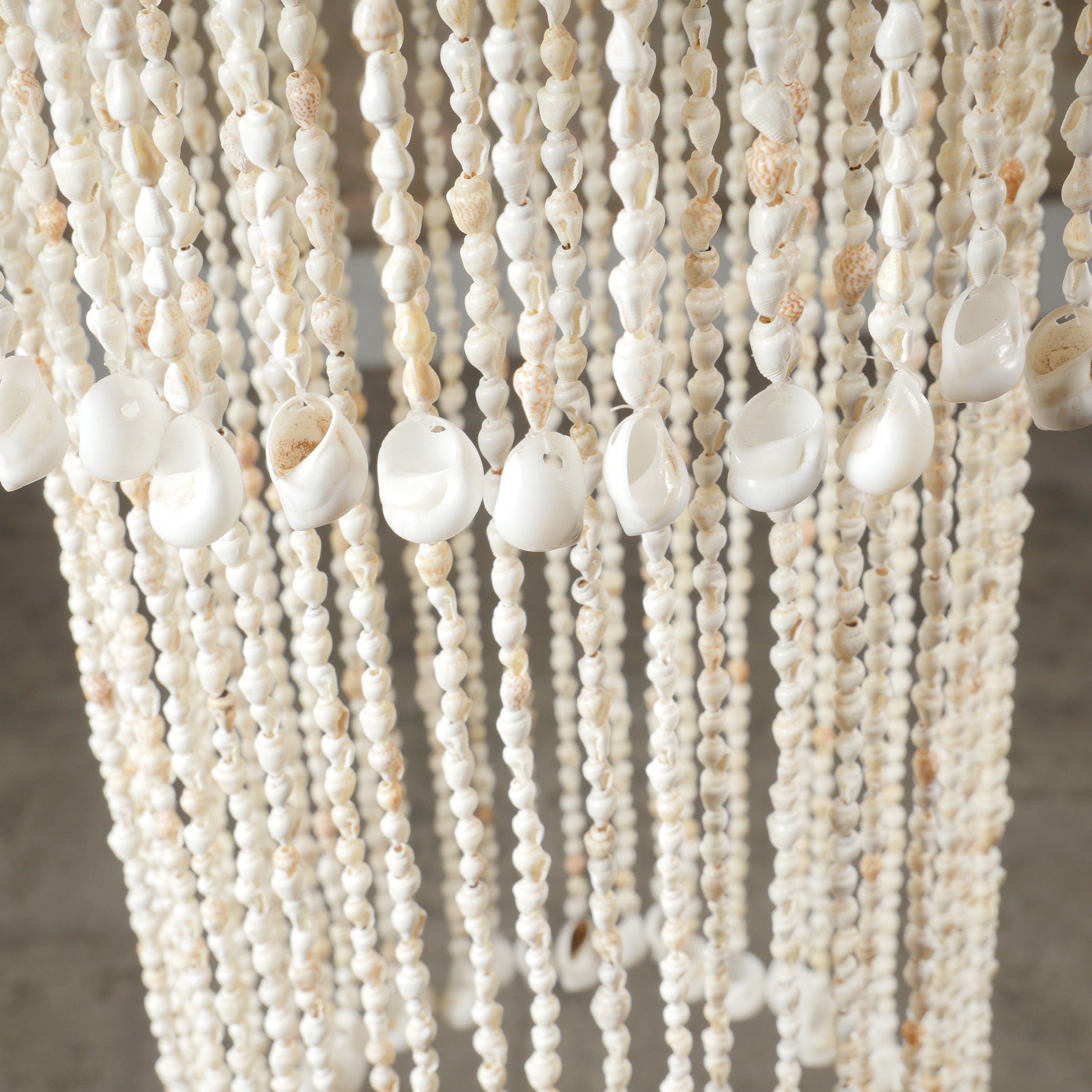 The Nassa Shells Pendant Light