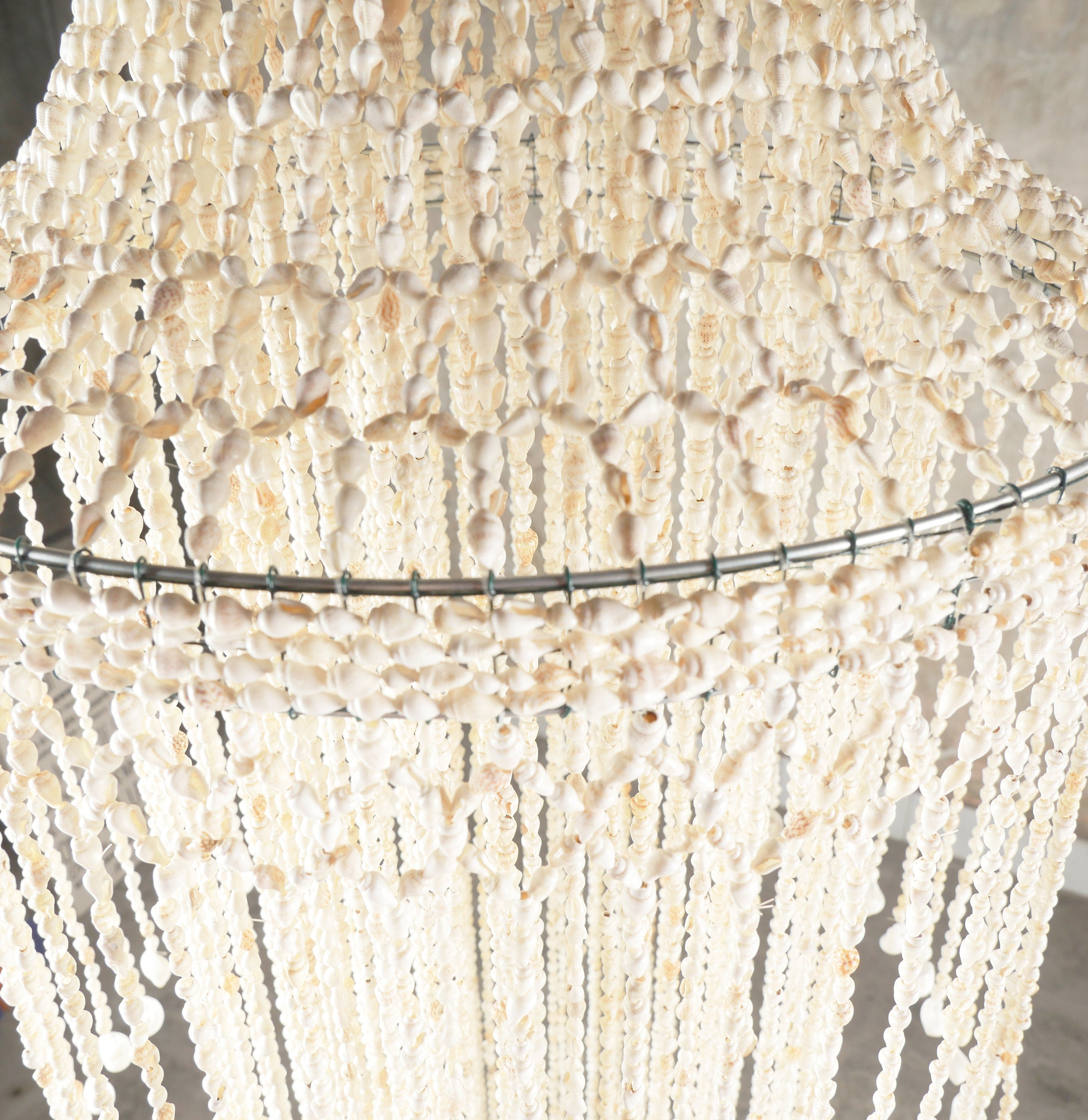 The Nassa Shells Pendant Light