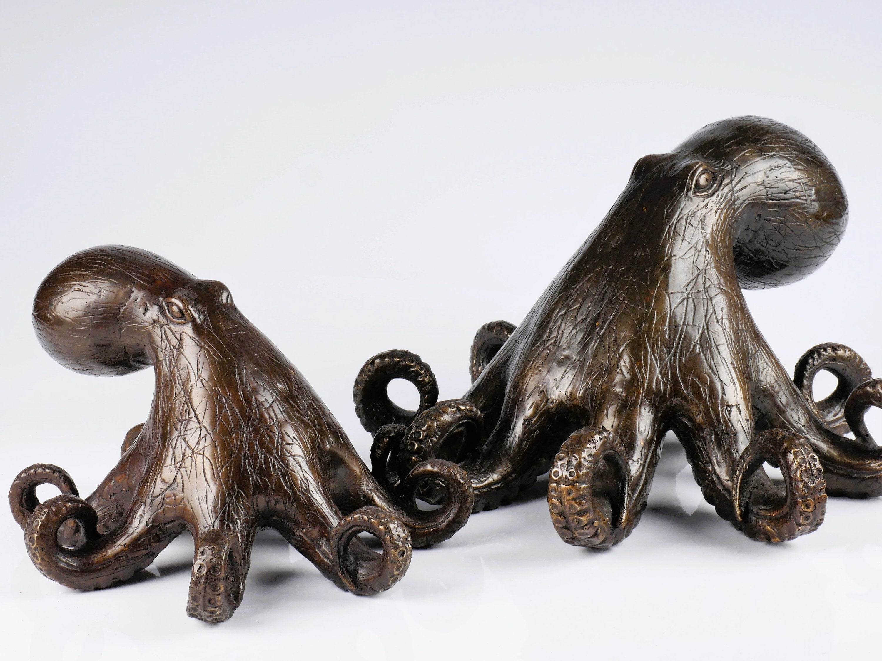 The Bronze Octopus