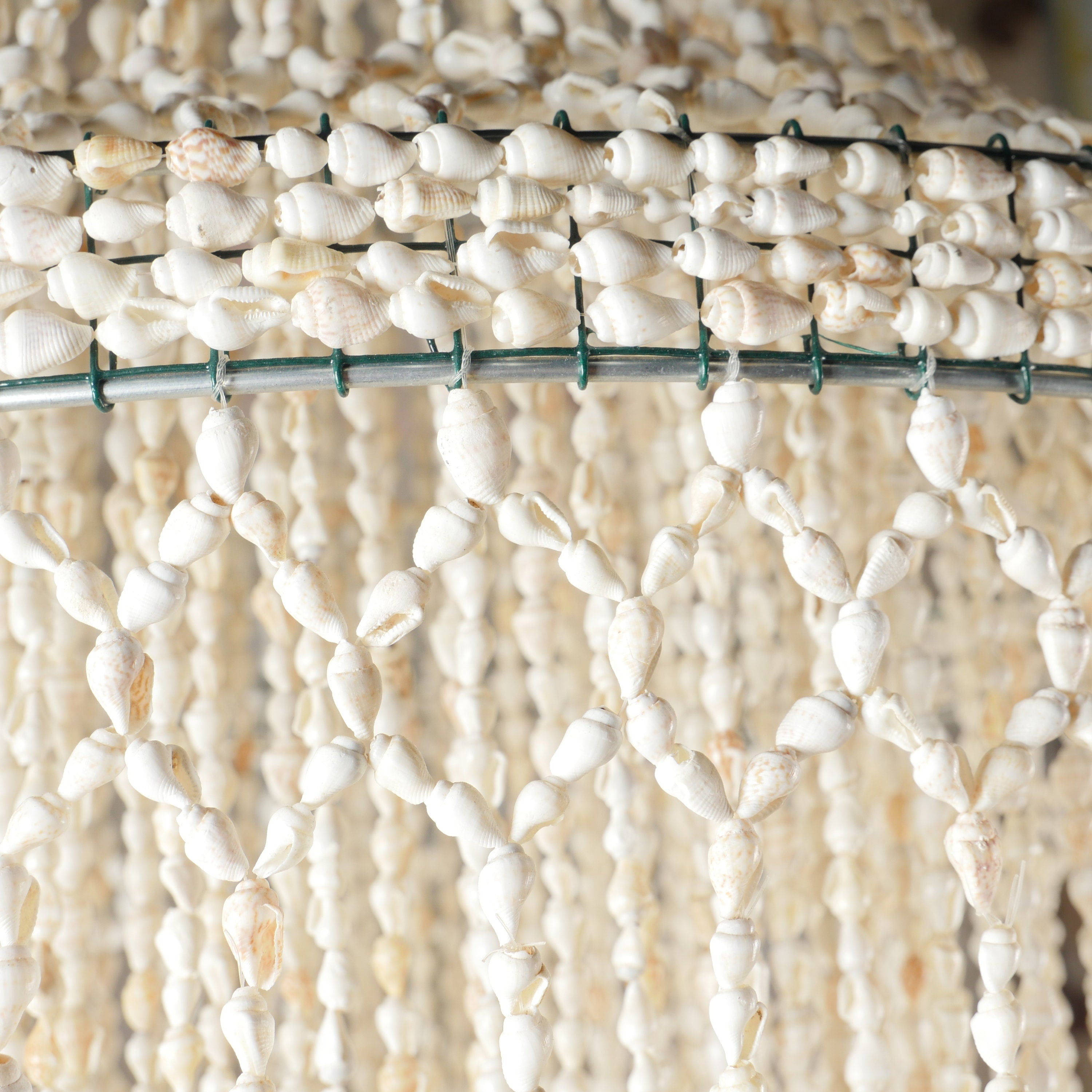The Nassa Shells Pendant Light