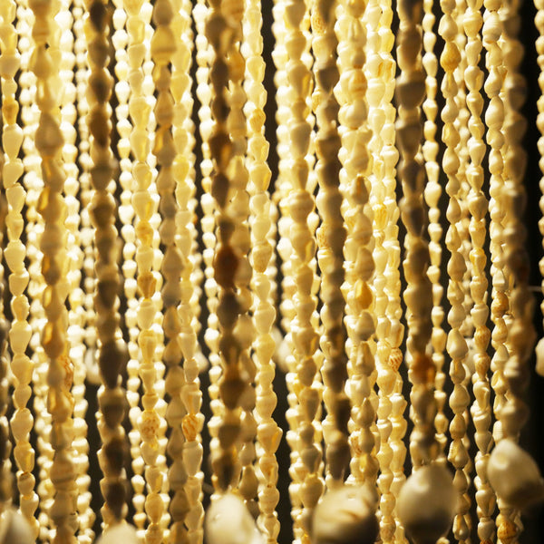 The Nassa Shells Pendant Light