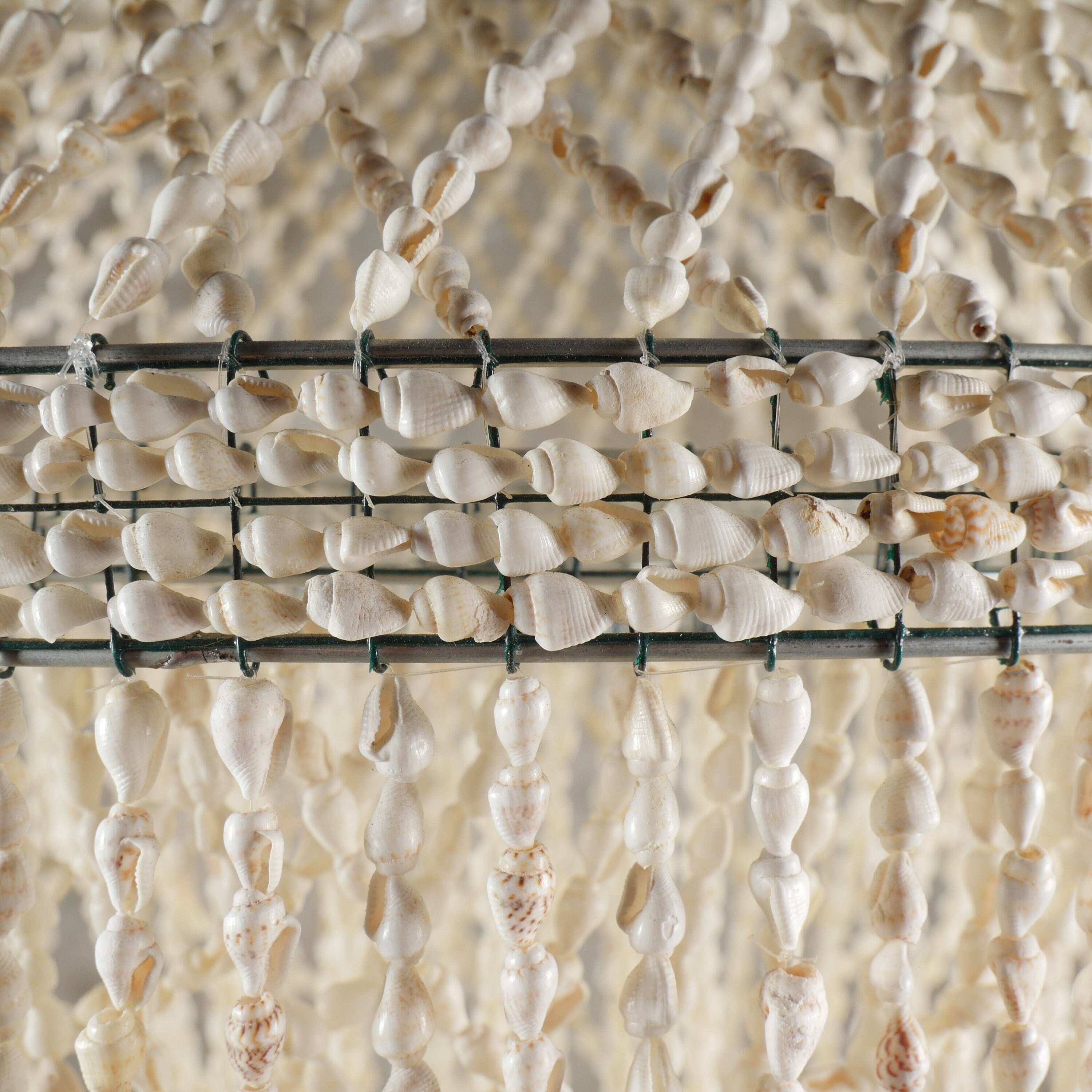 The Nassa Shells Pendant Light