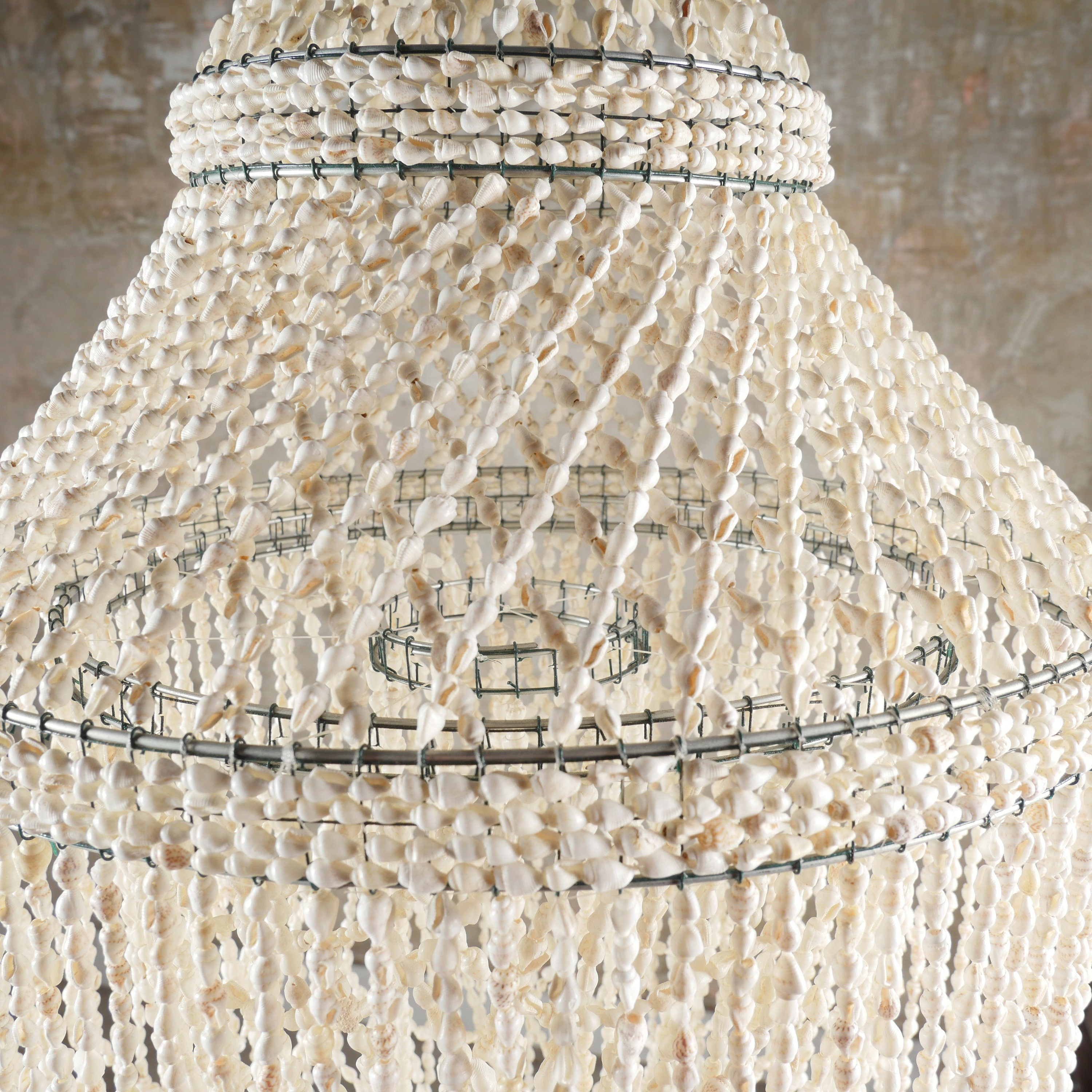 The Nassa Shells Pendant Light