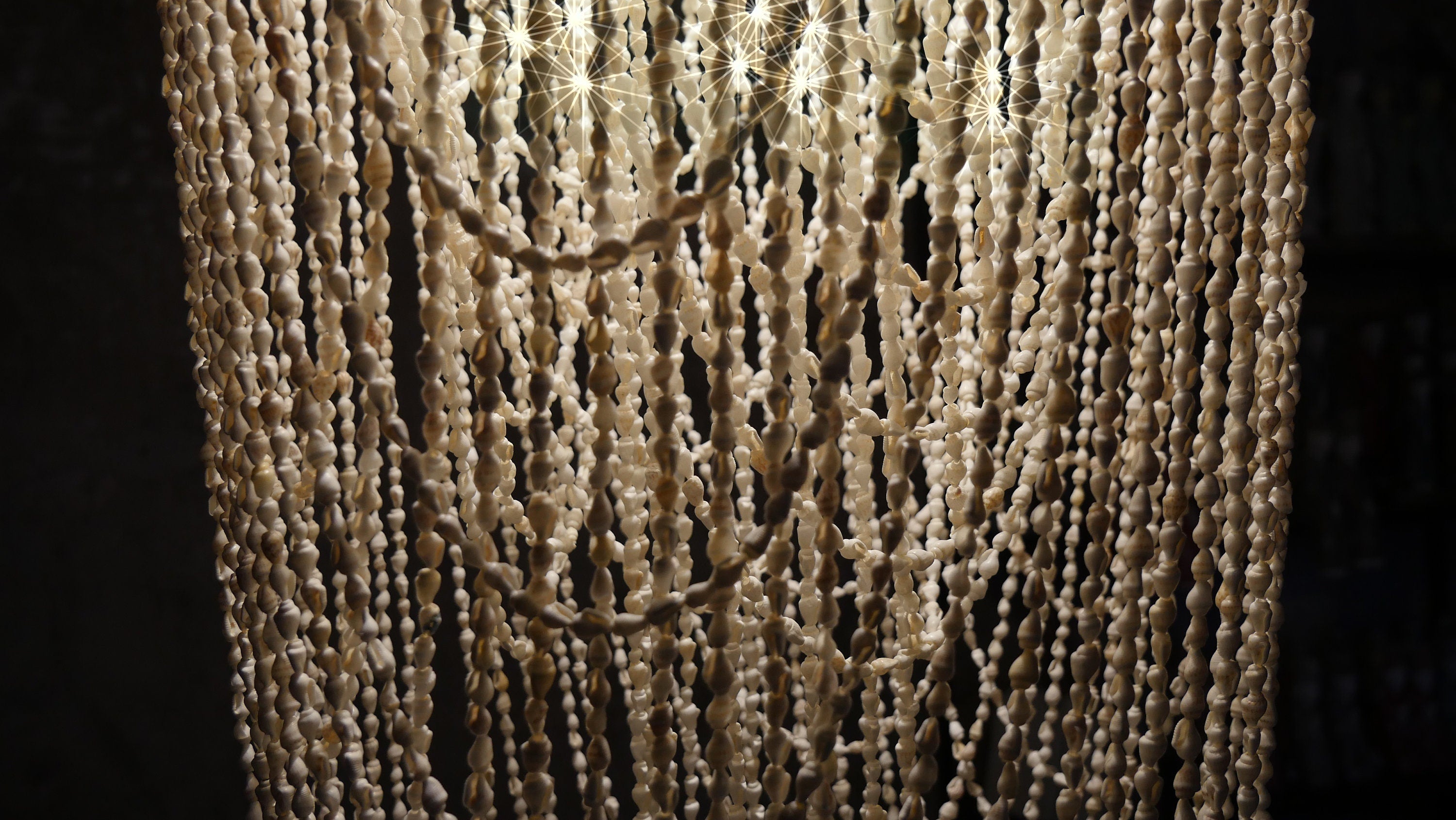 The Nassa Shells Pendant Light